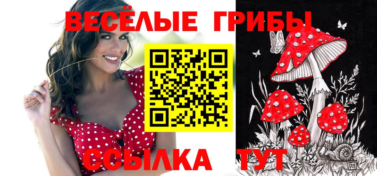 Ухта  закладки  Вход с VPN  Псилоцибиновые грибы мухоморы 