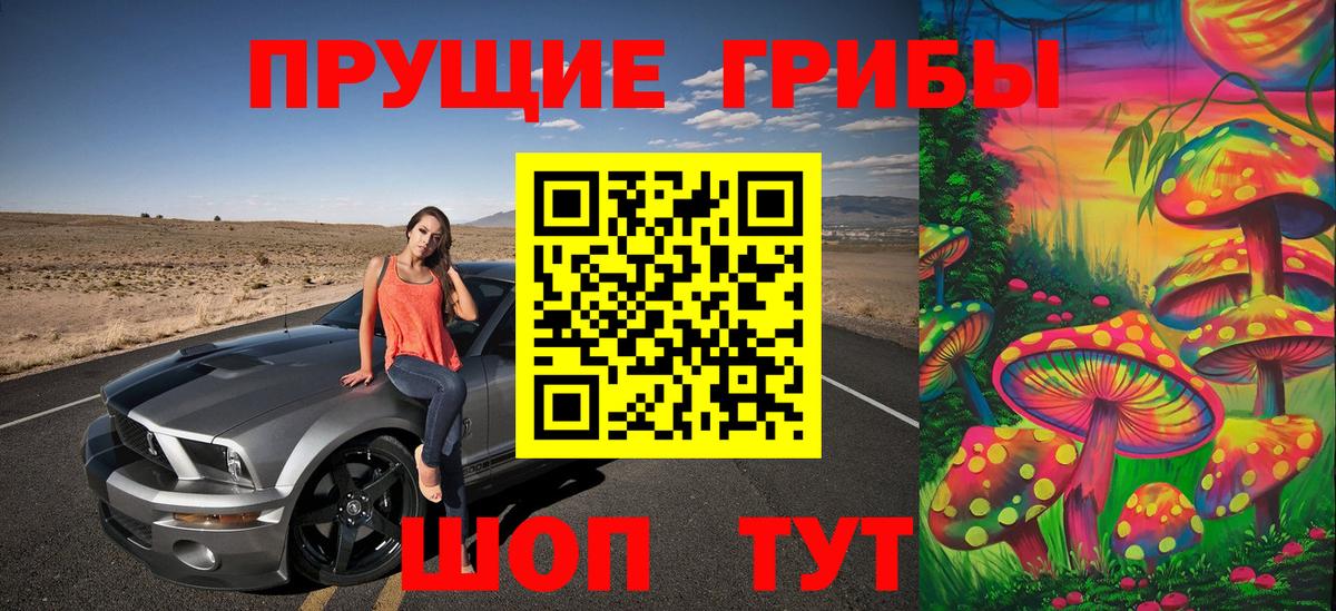 Псилоцибиновые грибы Cubensis Ухта